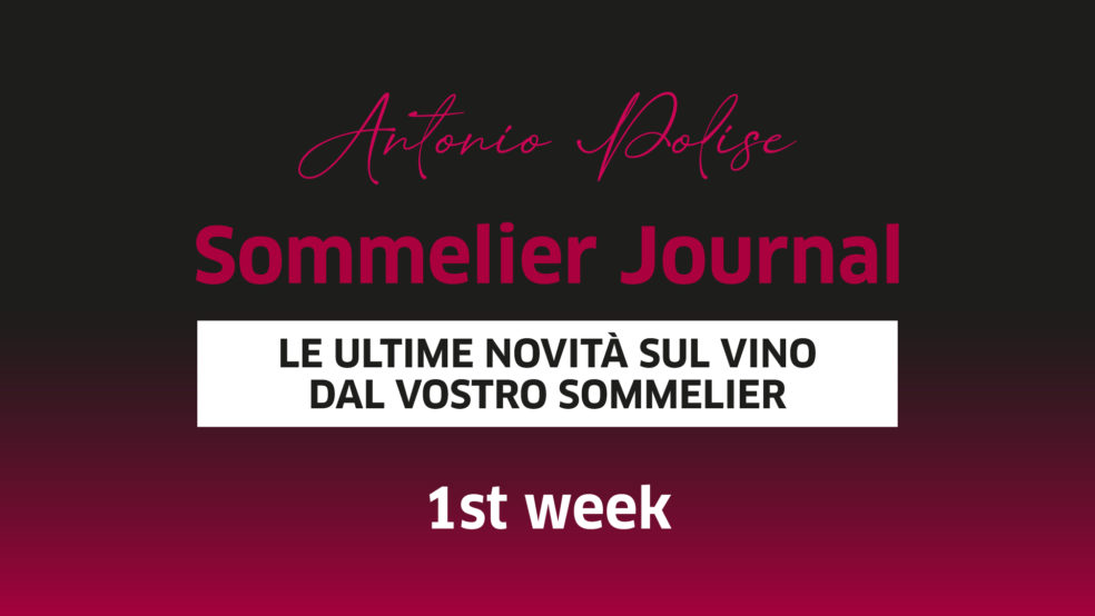 Sommelier Journal 1st Week - Polise Wine Tasting - Copertina