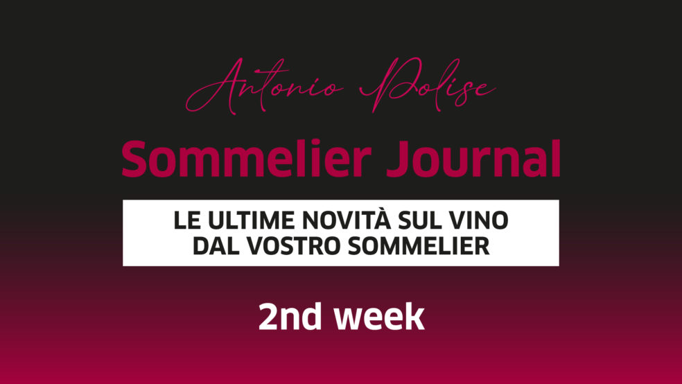 SommelierJournal 2nd week - Polise Wine Tasting
