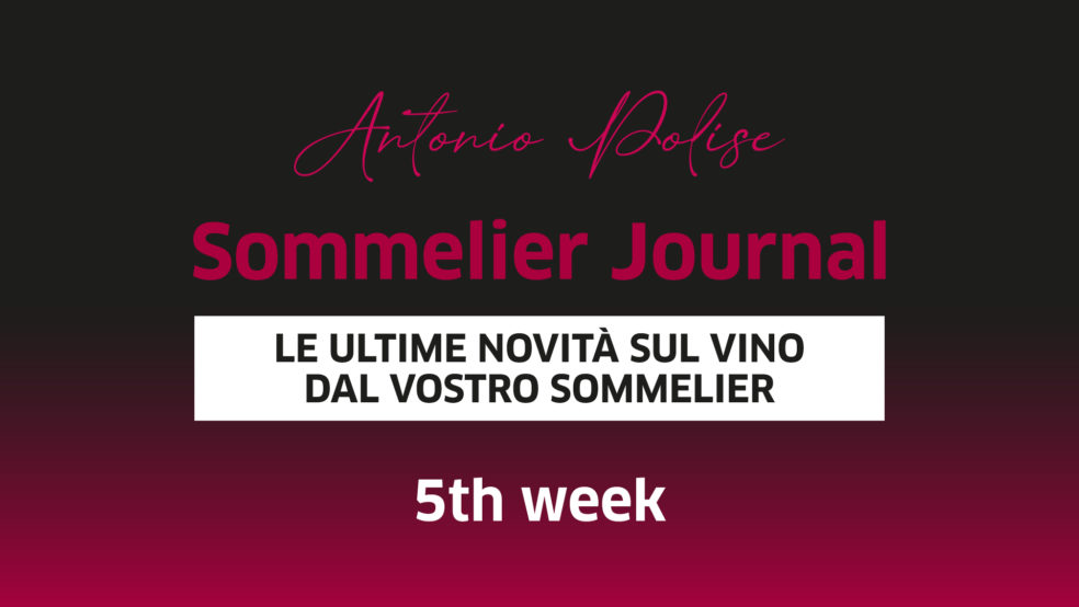 SommelierJournal 5th week - Polise Wine Tasting