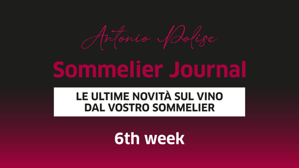SommelierJournal 6th week - Polise Wine Tasting