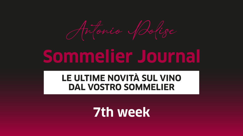 SommelierJournal 7th week - Polise Wine Tasting